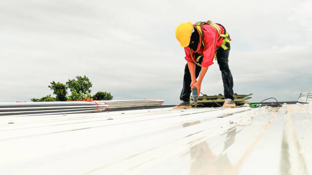 Fast & Reliable Emergency Roof Repairs in Candlewick Lake, IL