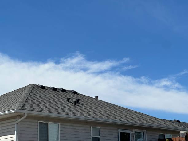 Best Steel Roofing  in Candlewick Lake, IL